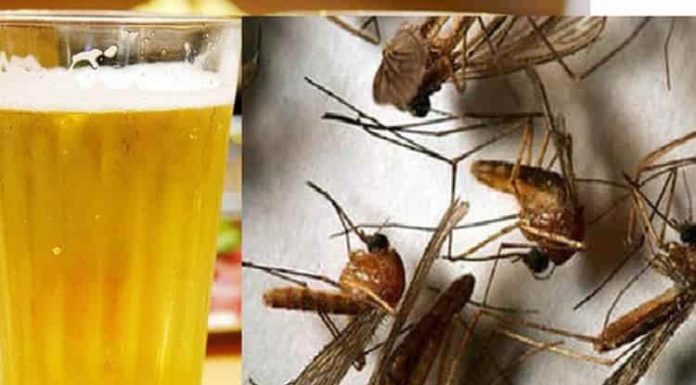 Solve Many Household Problems with Just One Half-Empty Beer Can