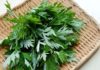 Exploring the Advantages of Using Wormwood to Combat Dandruff and Oily Hair