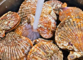 Discover the Secret to Creating Mouth-Watering Steamed Clams