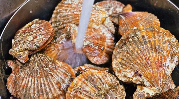 Discover the Secret to Creating Mouth-Watering Steamed Clams