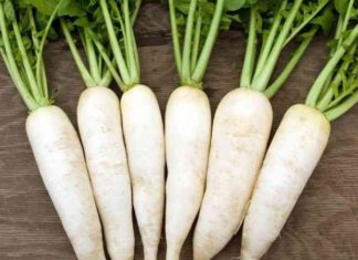 Reveal the Hidden Skin Benefits of Growing Common Vegetables in Your Backyard