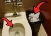 Should you throw used toilet paper in the toilet or the trash can? The answer will amaze you!