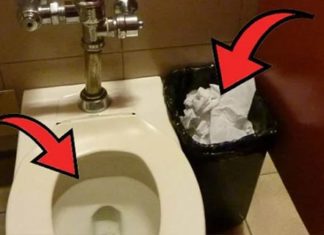 Should you throw used toilet paper in the toilet or the trash can? The answer will amaze you!