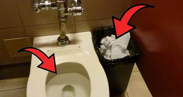 Should you throw used toilet paper in the toilet or the trash can? The answer will amaze you!