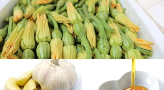 2 Delicious and Simple Dishes Made with Pumpkin Blossoms to Spice Up Your Family Meals