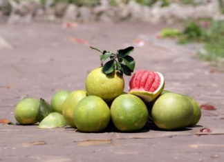 Should people with diabetes eat grapefruit?