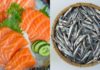 5 Types of Sea Fish that are Mild in Flavor, Rich in Calcium and Omega-3