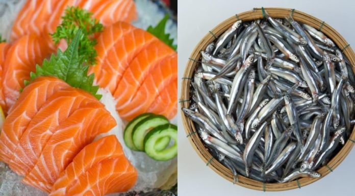 5 Types of Sea Fish that are Mild in Flavor, Rich in Calcium and Omega-3