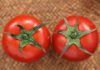Don’t squeeze tomatoes when buying, remember these 5 things to choose ripe, natural, and pesticide-free ones