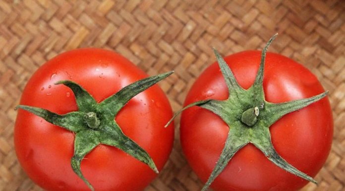 Don’t squeeze tomatoes when buying, remember these 5 things to choose ripe, natural, and pesticide-free ones