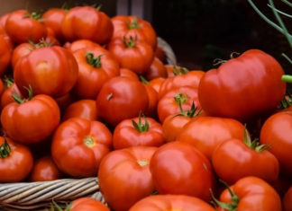 Secrets to Long-lasting Tomato Preservation for Year-round Use