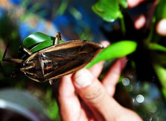 Exploring Delicious Specialty Foods for the Culinary Adventurer