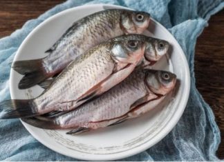 Differentiating between ‘mudskipper’ and ‘pondskipper’ when buying one