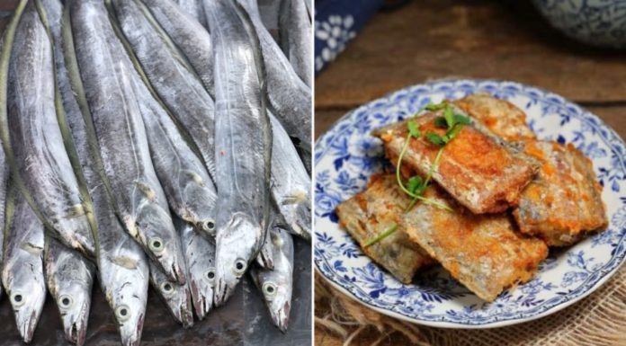 4 Nutrient-Rich, Naturally Caught Fish You Must Buy at the Market