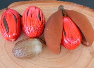 Boost Your Health and Control Blood Sugar with This Added Spice in Coffee