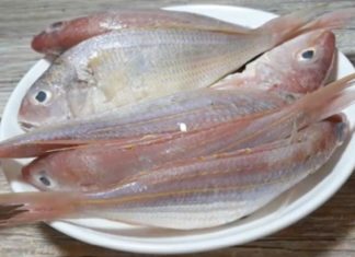 Discovering Deliciousness: Buying Red Snapper and Recipes to Try