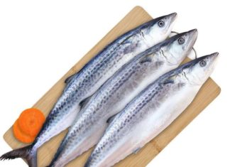 4 Types of Wild Ocean Fish: Tender, Delicious, Nutritious, and Sought-After