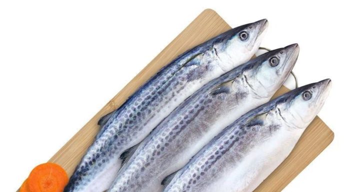 4 Types of Wild Ocean Fish: Tender, Delicious, Nutritious, and Sought-After