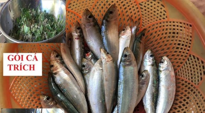 Freshwater Fish: Meaty, Boneless, Available Only in the Early Morning at the Market. Suitable for Both Men and Women.