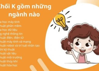 Ranking of the Top 20 K Group Universities Released