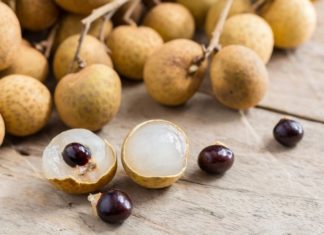 8 Tips for Refrigerating Limes for Optimal Freshness