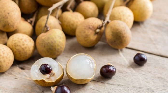 8 Tips for Refrigerating Limes for Optimal Freshness