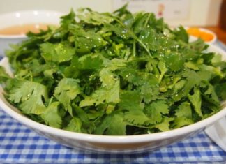 Preserving Cilantro and Coriander for One Month