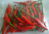 The Spicy Solution: Preserving Chili Peppers for Extended Use