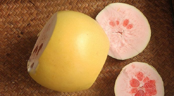 The Ultimate Guide to Peeling a Pomelo: A Bitter-Free Experience