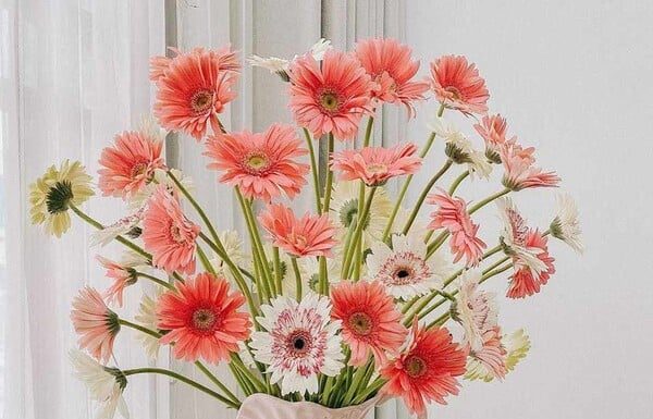 Creative Ways to Display Money Tree for a Prosperous Lunar New Year