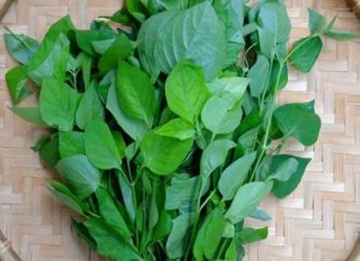 How to Enjoy the Benefits of Water Spinach, Morning Glory, and Amaranth