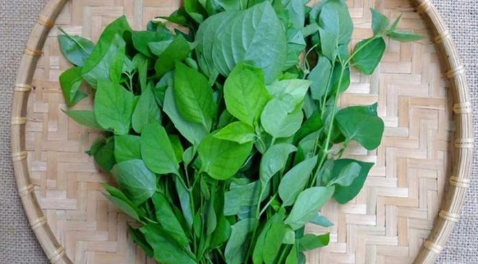 How to Enjoy the Benefits of Water Spinach, Morning Glory, and Amaranth