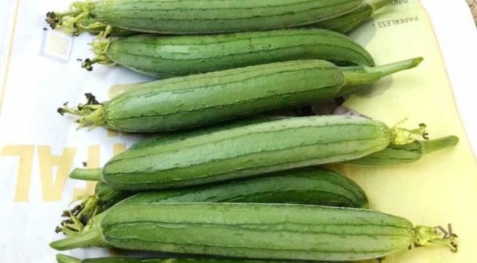 How to Select the Perfect Melons for Summer Soup Creation