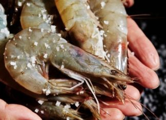 Tips for Buying Safe, Non-Chemically Enhanced Shrimp
