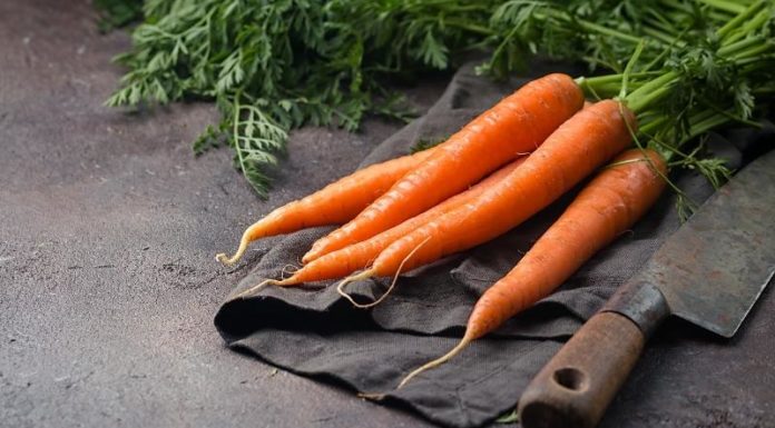 How to Choose and Store Fresh Carrots for Maximum Longevity