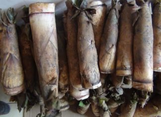 How to Cook Bamboo Shoots for a Tantalizingly Tender Taste Free from Bitterness and Toxins