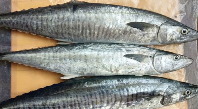 Advice for Home Cooks on Choosing Quality Tuna