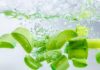 Selecting Delicious and Safe Non-Medicinal Aloe Vera