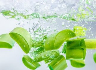 Selecting Delicious and Safe Non-Medicinal Aloe Vera