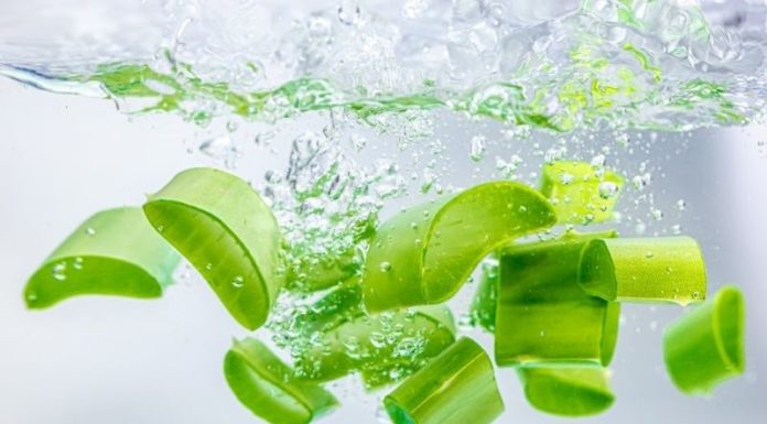 Selecting Delicious and Safe Non-Medicinal Aloe Vera