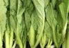 Tips for Selecting Safe and Fresh Green Peas