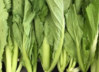 Tips for Selecting Safe and Fresh Green Peas