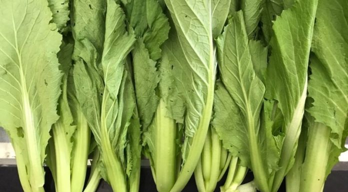 Tips for Selecting Safe and Fresh Green Peas