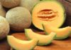 Strategies for Choosing and Keeping Honeydew Melon