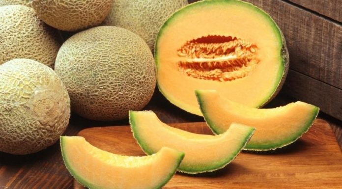 Strategies for Choosing and Keeping Honeydew Melon