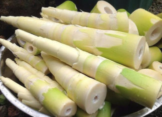 How to choose fresh and chemical-free bamboo shoots
