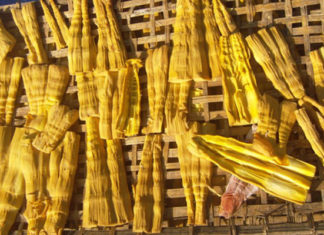 “Gaining an Understanding of Choosing and Preserving Dried Bamboo Shoots”