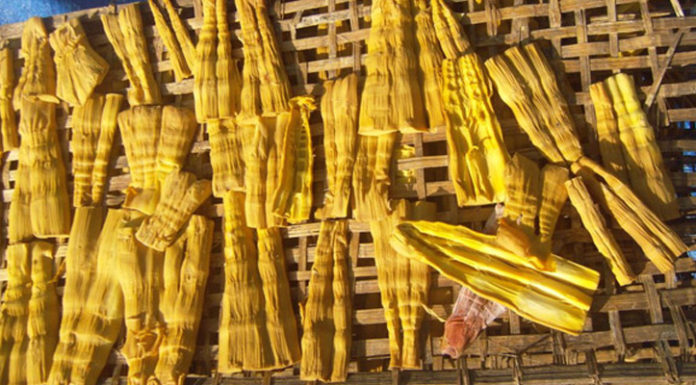 “Gaining an Understanding of Choosing and Preserving Dried Bamboo Shoots”