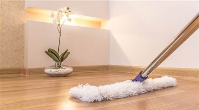 Guide for Cleaning Bacteria and Mold from Floors and Air
