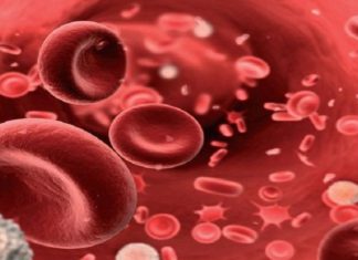 Using the CarePlix Vitals App to Easily Monitor Blood Oxygen Levels